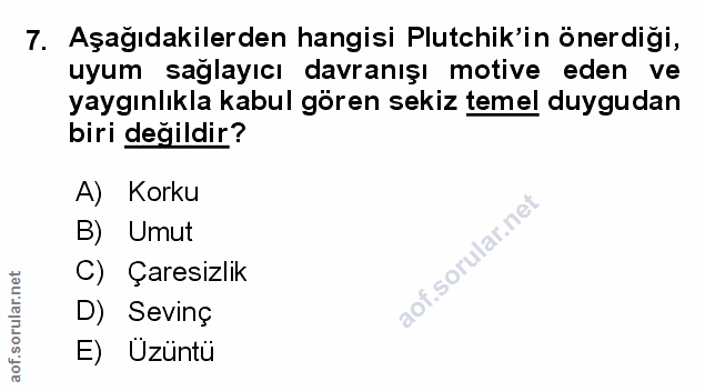 Soru 7