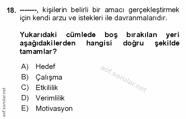 Soru 18