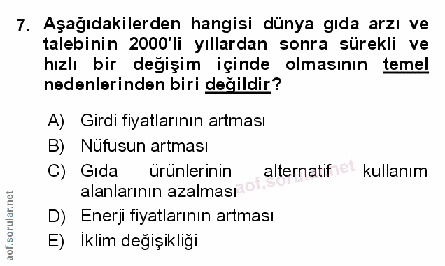Soru 7