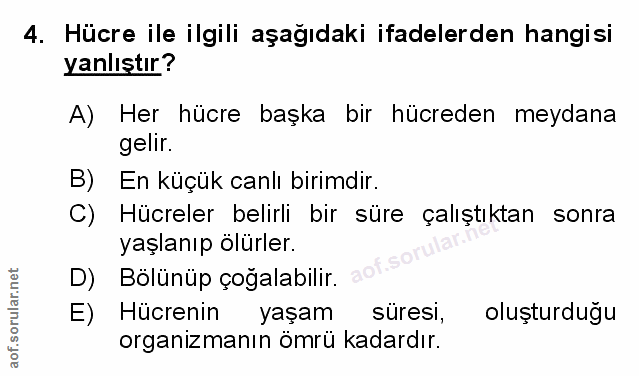 Soru 4