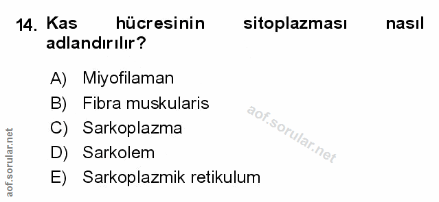 Soru 14