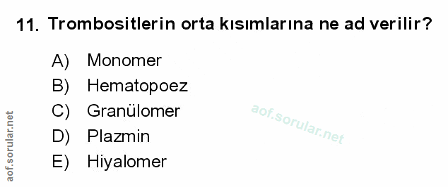 Soru 11
