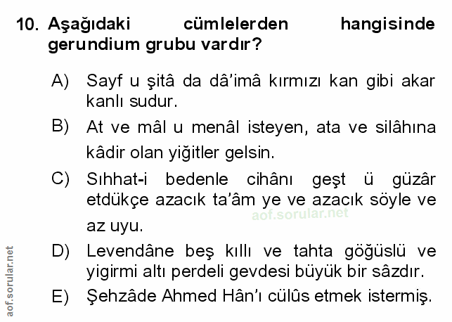 Soru 10
