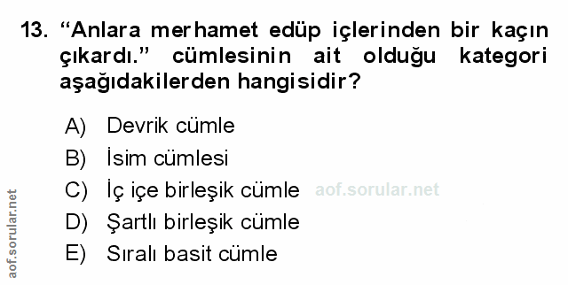 Soru 13