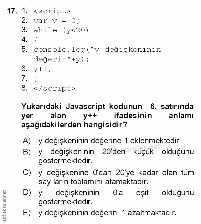 Soru 17
