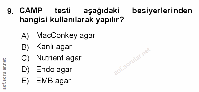 Soru 9