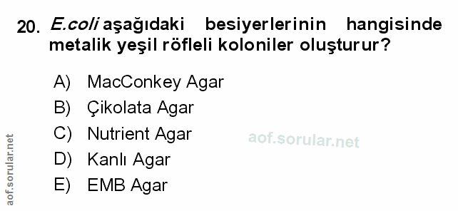 Soru 20