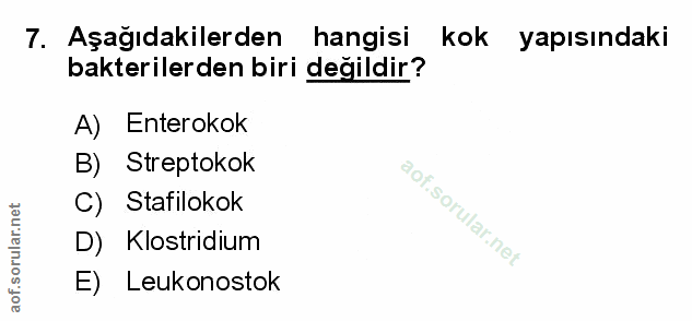 Soru 7