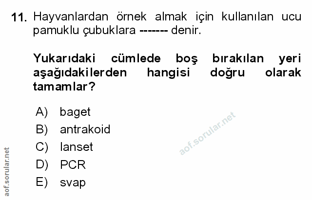Soru 11