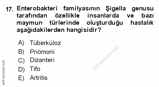 Soru 17