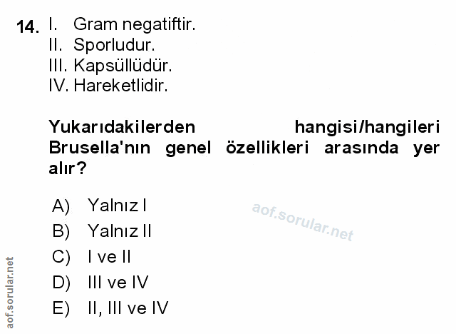 Soru 14