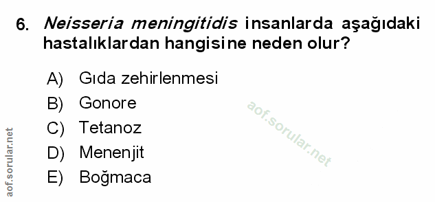 Soru 6