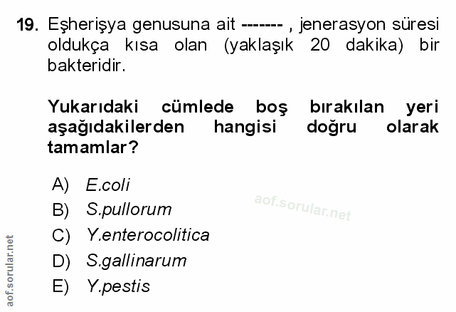 Soru 19