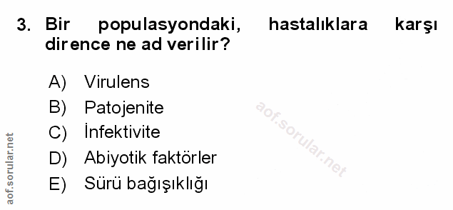 Soru 3