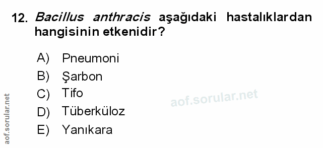 Soru 12