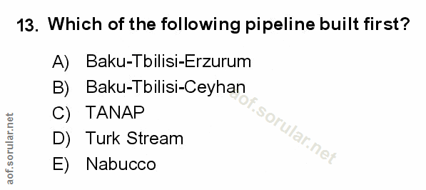 Soru 13