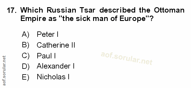 Soru 17