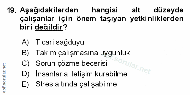 Soru 19