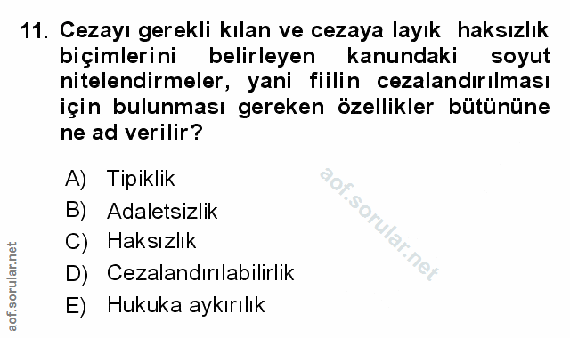 Soru 11