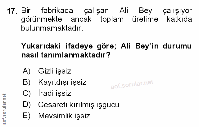 Soru 17
