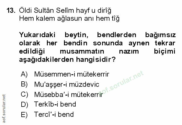 Soru 13