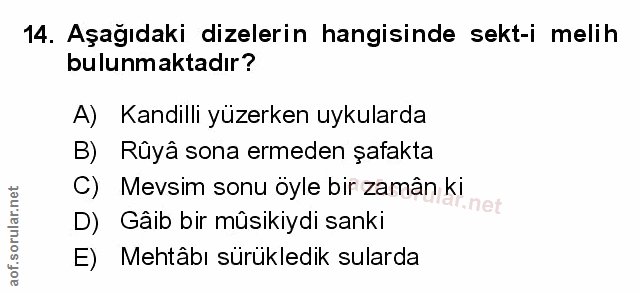 Soru 14