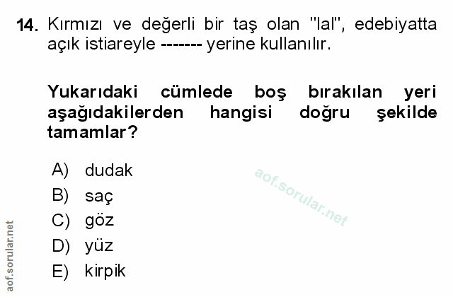 Soru 14