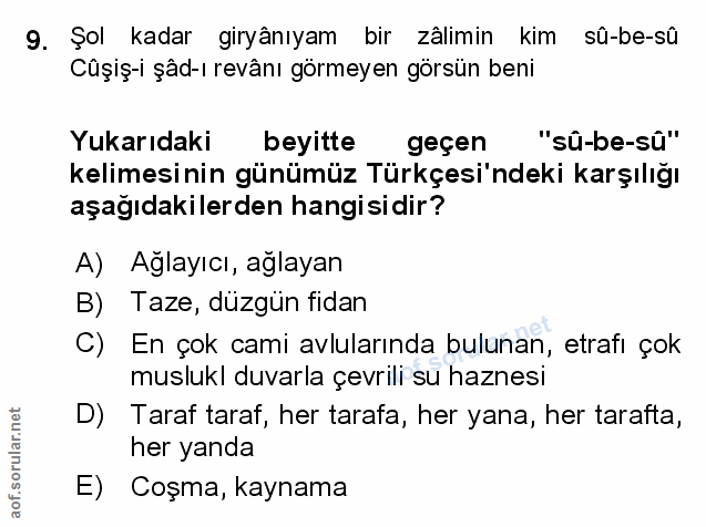 Soru 9