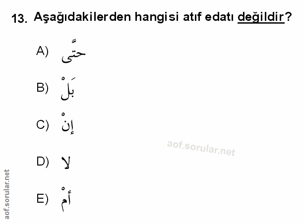 Soru 13