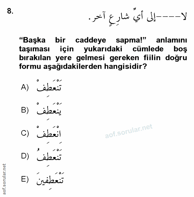 Soru 8
