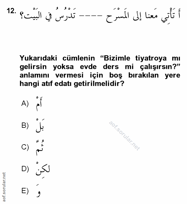 Soru 12