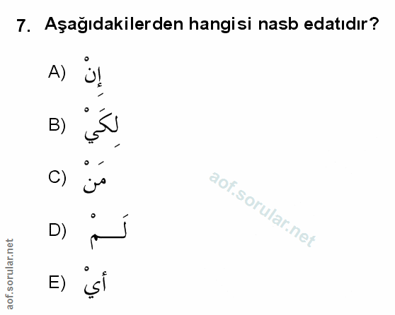 Soru 7