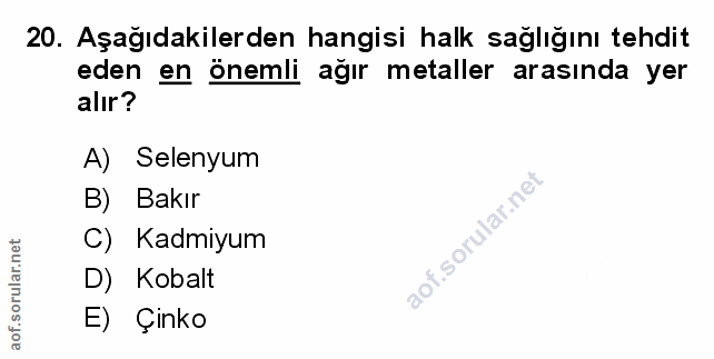 Soru 20
