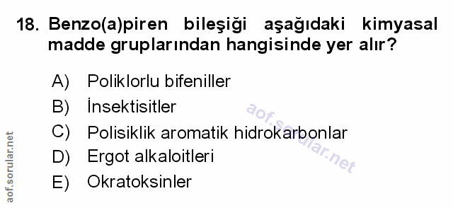 Soru 18