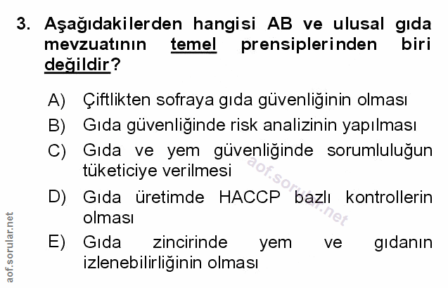 Soru 3