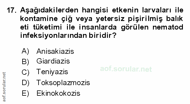 Soru 17