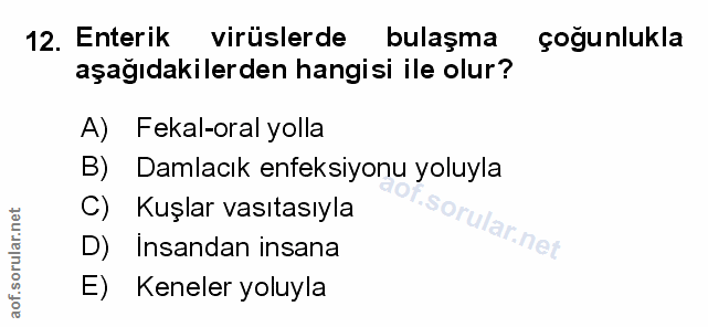 Soru 12