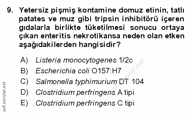 Soru 9