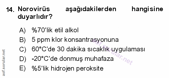 Soru 14