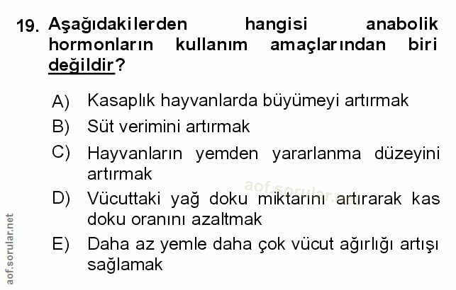 Soru 19