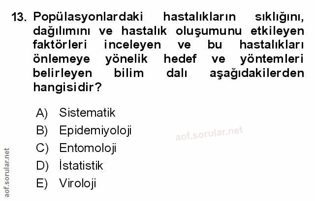 Soru 13