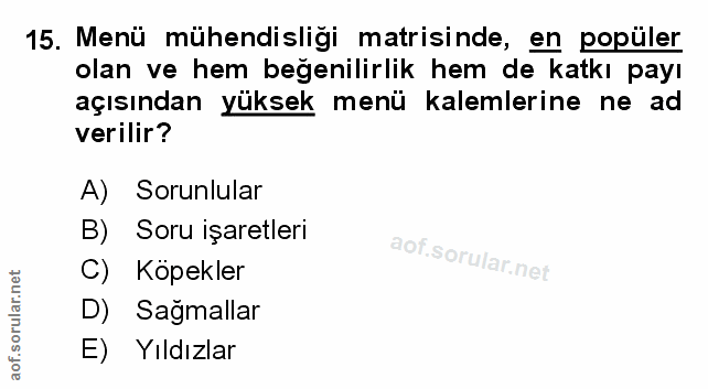 Soru 15