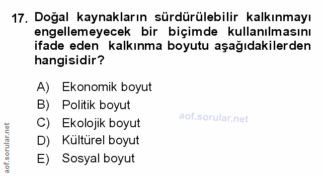 Soru 17