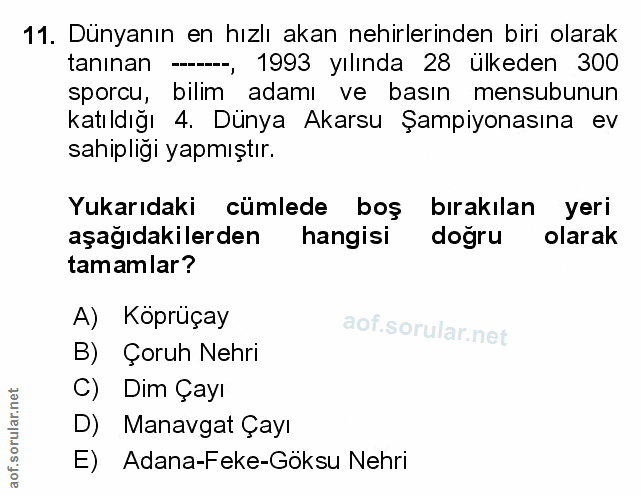 Soru 11