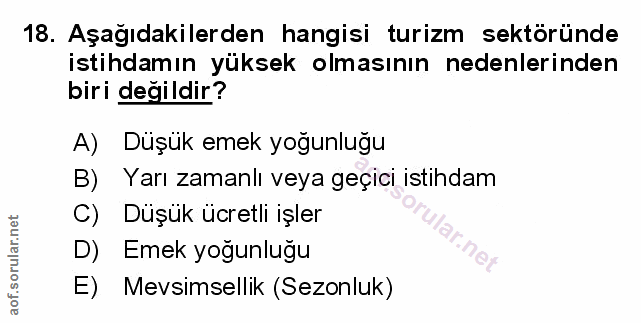 Soru 18