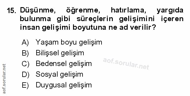 Soru 15