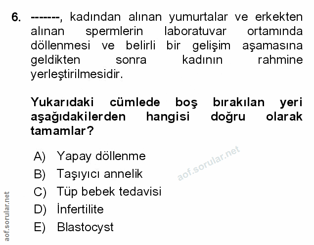 Soru 6