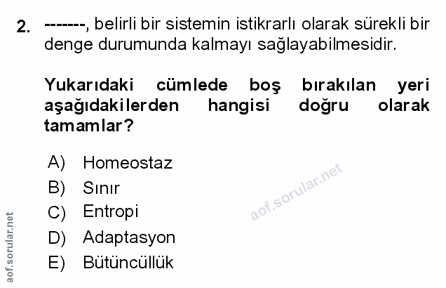 Soru 2