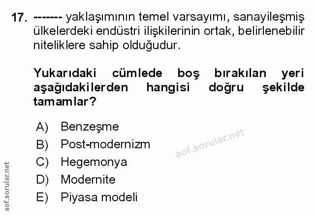 Soru 17