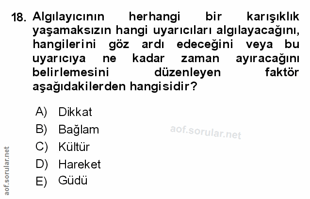 Soru 18